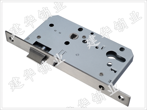 5572Z fire proof lock